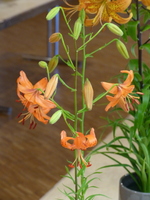 Foto: Dr. Peter Müller